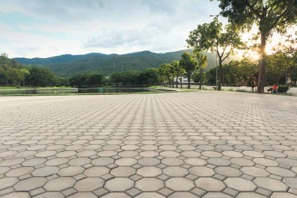 Best Professional Driveway Pavers  in Salyersville, KY